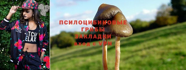 соль ск Абаза